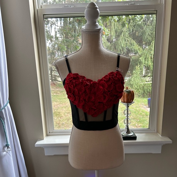 Victoria’s Secret Archives Rosette Corset Top Size M NWT🌹 - Picture 5 of 8